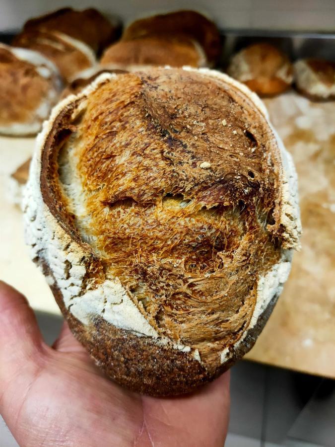 Paneolio B&B Poggio Picenze Kültér fotó